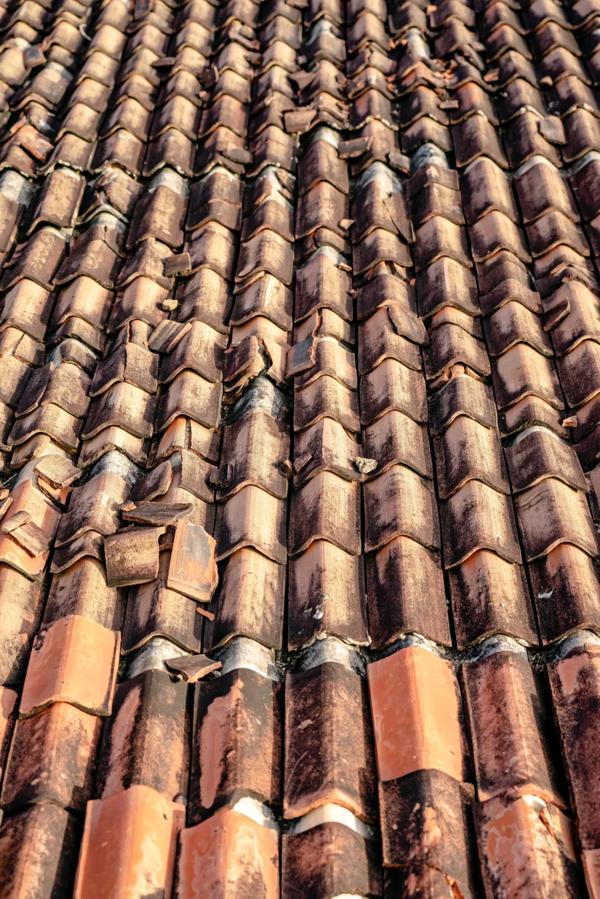 Weathered roof tiles; an inspection is needed to determine the cause of damage