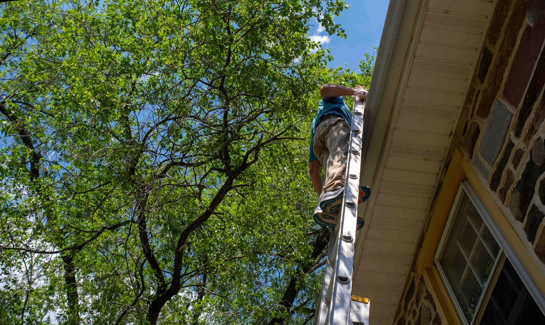 Low-angle view of a man on an extension ladder reaching into a house gutter under trees